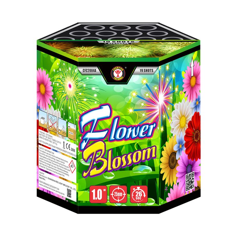 Blumenblüte 19 Schüsse