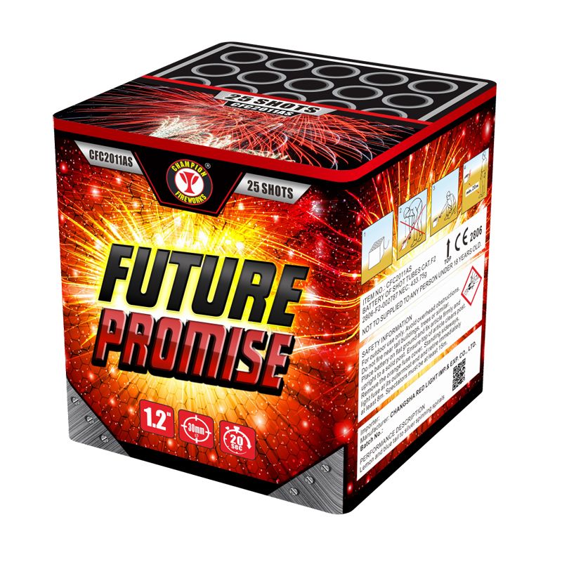 Future Promise 25 Shots